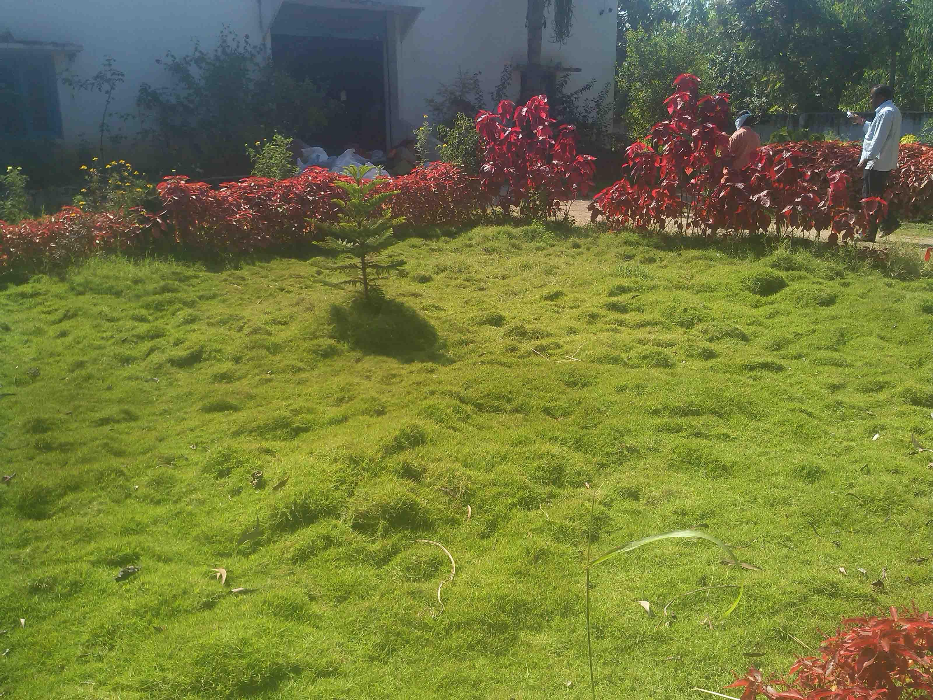 Environmental Management & Green Initiatives